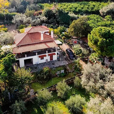 Eirini With Sea View Villa *